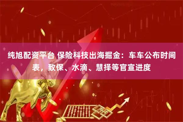 纯旭配资平台 保险科技出海掘金：车车公布时间表，致保、水滴、慧择等官宣进度