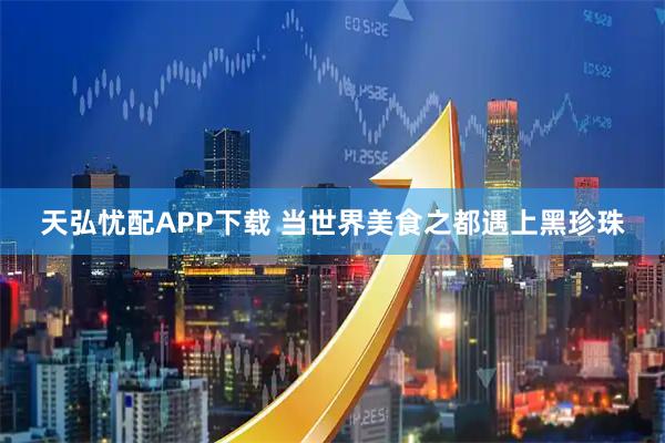 天弘忧配APP下载 当世界美食之都遇上黑珍珠