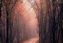 财经:配资网在线登录-汉威科技：取得人形机器人5亿订单为不实信息